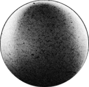 Planet 3